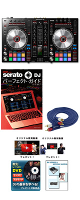 Pioneer DJ(ѥ˥) / DDJ-SR2 Serato DJ Pro̵ §դ鿴԰¿å 6ŵå