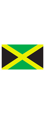 レゲエホーン Green レ フェスグッズ サッカー応援グッズ ジャマイカ国旗デザイ の激安通販 ミュージックハウスフレンズ