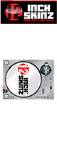 12inch SKINZ / Stanton STR8.150 Skinz (Brushed SILVER) ڥ STR8.150 ޥͥåȥץ
