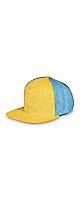 Pokemon Center(ݥ󥻥󥿡) / Forms of Charizard Flat-Bill Hat (One Size-Adult) / ꥶɥ å