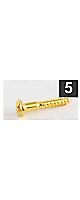 ALLPARTS ( ѡ )  / GS-0063-002 Pack of 5 Gold Bridge Mounting Screws