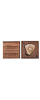 Knc Picks ( ̥ԥå )  / Burning Sun Guitar Pick with Wooden Box