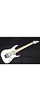 ڿ١ۿ Ibanez(Хˡ) / RG6HSHMTR WHF(White Flat) 쥭 J-LINE 