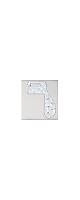 ALLPARTS ( ѡ )  / PG-9845-055 White Pearloid Pickguard for Rickenbacker/4001