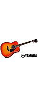 YAMAHA ( ޥ )  / FG820 Autumn Burst