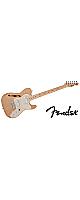 FENDER ( ե )  / Made in Japan Traditional 70s Telecaster Thinline, Natural