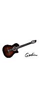 GODIN GUITAR ( 󥮥 )  / ARENA PRO CW BOURBON BURST EQ