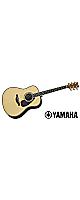 YAMAHA ( ޥ )  / LL56 CUSTOM ARE