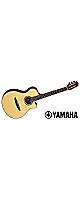 YAMAHA ( ޥ )  / NTX5 Natural