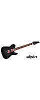 SCHECTER (  )  / PA-SM/SH