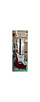 SCHECTER (  )  / OL-JM/DRD(Dakota Red) Υݥåȥǥ