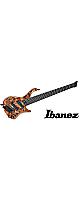 Ibanez ( Хˡ )  / EHB1506MS-ABL إåɥ쥹١