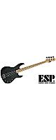 ESP ( ԡ )  / AP Maple FB Granite Sparkle