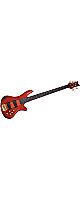 SCHECTER (  )  / STILETTO STUDIO-5 FL HSN