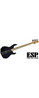 ESP ( ԡ )  / AP Maple FB Black Satin