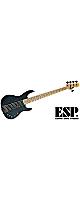 ESP ( ԡ )  / AP-SL5 Maple FB Granite Sparkle