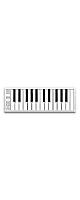 【限定価格】ESI Audiotechnik(イーエスアイ オーディオテクニク) / Xkey Air 25