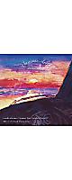 【6/20まで予約受付中】haruka nakamura / 関口シンゴ - Summer Daze (Saudade Rework) / North Marine Drive(7”) / 