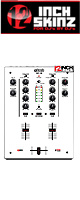 12inch SKINZ / DJ-Tech DIF-1S SKINZ (White) DIF-1Sѥ
