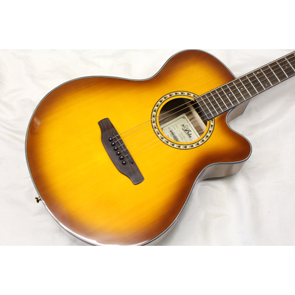 Aria アコースティックギター　TG-1LVS