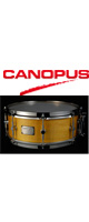 CANOPUS(Υץ) / 1ply Soft Maple Brass Straight Hoop Model SSSM1455SH ڥͥХåɲòǽ-ͥ -