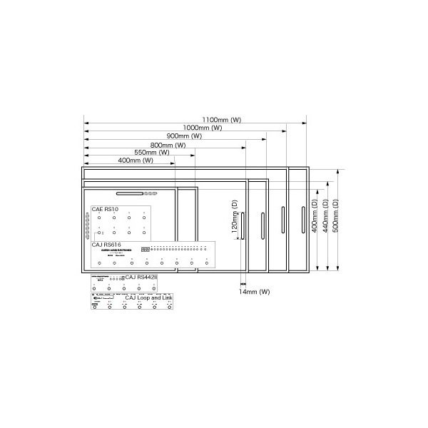 CUSTOM AUDIO JAPAN(カスタムオーディオジャパン) ／ System Board