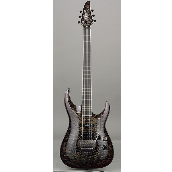 □ご予約受付□ ESP(イーエスピー) ／ Artist SeriesSUGIZO Model HORIZON SGZ Custo… の激安通販 |  ミュージックハウスフレンズ