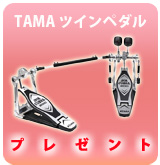 TAMAĥڥ ץ쥼