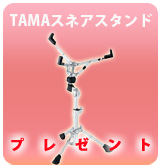 TAMAͥɥץ쥼