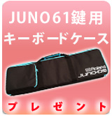 【P】JUNO-DSW61鍵専用ケースプレゼント
