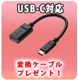 【P】USB-C変換ケーブルプレゼント