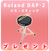 [P]Roland / DAP-2 プレゼント